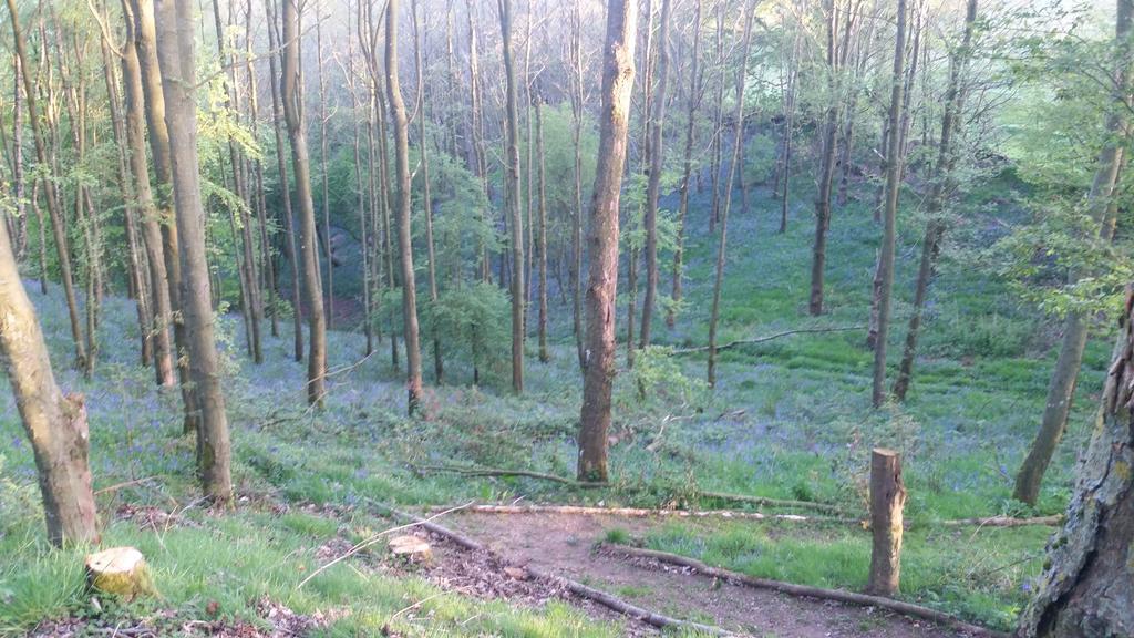Low Nook Farm Holiday Cottage Brampton  Buitenkant foto
